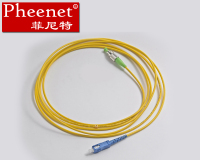 Pheenet菲尼特  FC/APC-SC/PC 3米广电专用光纤跳线尾纤电信级