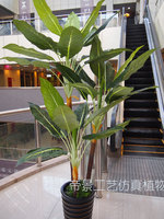 仿真植物假树 2米高仿3杆白马王子万年青客厅落地工艺绢花装饰