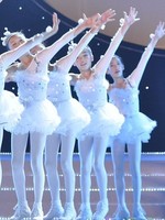 女童小天鹅舞演出服 表演服装芭蕾舞蹈服儿童白纱裙飞呀飞蓬蓬裙