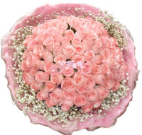 促销33朵粉玫瑰呼和浩特鲜花速递呼市鲜花实体店 包头鲜花速递