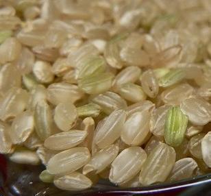 养生粗粮优质有机糙米发芽糙米 健脾养胃 美容抗癌 糙大米