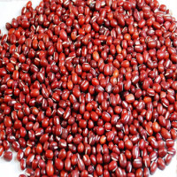 红小豆农家自产有机红豆赤豆清热百合绝配五谷杂粮500克满2件包邮