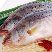 兰州老李海鲜 新鲜海鲈鱼 一斤二十三元 一条1斤多