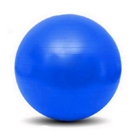 瑜伽球防爆运动健身器材家用腰腹部锻炼加厚瘦身球25/75cm送气筒