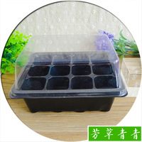 12孔塑料育苗盒育苗盘 穴盘育苗箱保温保湿花卉 蔬菜种子育苗工具