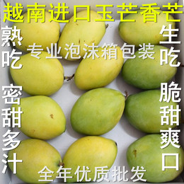 越南芒果新鲜玉芒越南小香芒新鲜芒果进口青芒果5斤装包邮