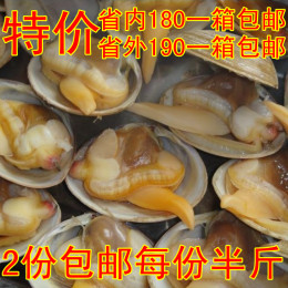 2件包邮丹东港海鲜特产 大船渔家即食真空丹东大黄蚬子 樱花贝