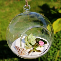 悬挂玻璃花瓶 多肉植物花瓶 微景观生态瓶 透明圆形吊瓶 婚庆用品