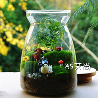 [AS艾尚]苔藓小品　生态瓶 苔藓微景观 动漫系列-龙猫微景观diy