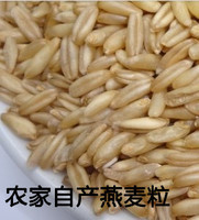 沂蒙山特产 燕麦 燕麦粒燕麦仁 燕麦米有机五谷杂粮粥八宝粥原料