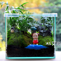 AS艾尚 苔藓微景观 苔藓瓶生态瓶 创意绿植 造景方缸 龙猫