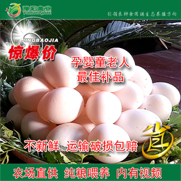 孕婴老人滋补品散养有机新鲜鸽子蛋1枚抵9个土鸡蛋限时7折包邮