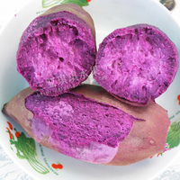 海南水果 新鲜紫薯 地瓜 紫肉紫薯 三亚特产 5斤9-15颗 包邮