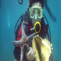 三亚潜水◆蜈支洲岛◆岸潜-