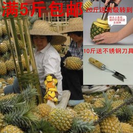 越南广西进口正宗特产热带新鲜水果香甜菠萝凤梨10斤起拍特价免邮