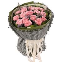 朝阳区国贸鲜花店送花、速递-母亲节鲜花预定-粉色康乃馨花束