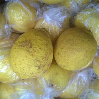 安岳柠檬新鲜黄柠檬丑果汁多大小混装5斤装包邮限时特价榨汁首选
