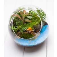生态赋城 苔藓微景观生态瓶龙猫DIY创意植物迷你盆栽玻璃瓶新礼物