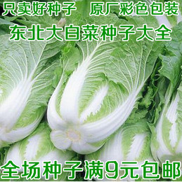 东北大白菜种子韭菜茴香豆角萝卜菠菜有才四季春秋蔬菜水果种子小