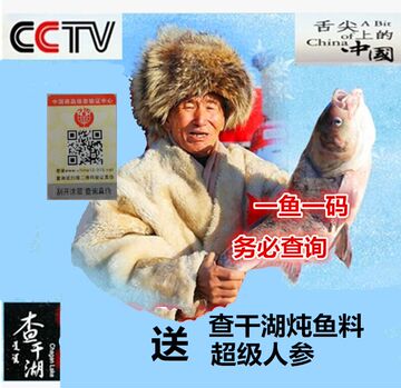 吉林查干湖鱼野生鱼淡水鱼  胖头鱼王 原生态鱼25-26斤现货