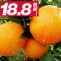 【坏果包赔】新鲜脐橙甜橙子 纽荷尔 橙子时令孕妇酸水果4斤