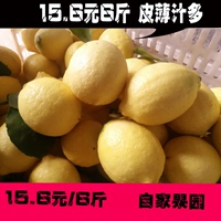 安岳乡土柠檬 15.6元6斤黄柠檬 绿色新鲜酸爽自家柠檬皮薄汁多