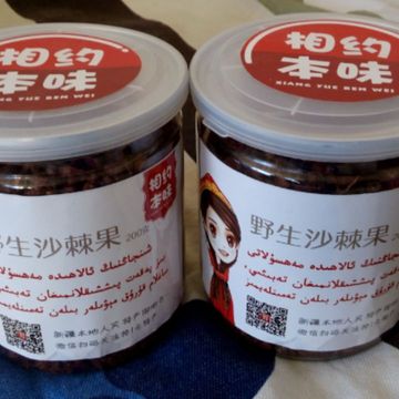 新疆野生沙棘2015新货新鲜沙棘干果含沙棘果油原浆打沙棘粉沙棘茶