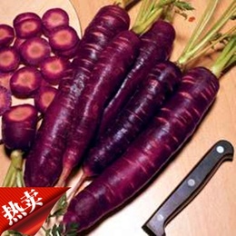 野生农家新鲜采挖蔬菜水果紫色黑皮生吃胡萝卜素含量高2斤装包邮