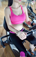 高强度减震文胸女子训练健身跳操机械跑步运动瑜伽无钢圈文胸
