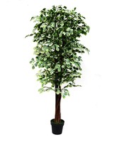 仿真树1.8米金钱叶办公大厅装饰假树绿植花卉多叶盆景盆栽