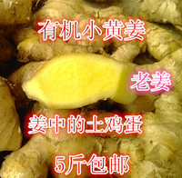 江西农家自种生姜老母姜月子姜原始点小黄姜 包邮窖藏姜