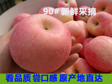 烟台红富士苹果山东栖霞特产新鲜绿色有机生态水果90苹果10斤包邮
