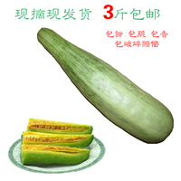 绿色有机新鲜水果刘旺庄甜瓜羊角蜜酥脆甜瓜山东潍坊特产 500g