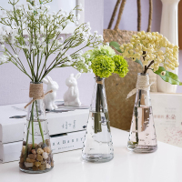 造生活创意客厅摆件插花点点透明花瓶桌面透明仿真绿植波点玻璃瓶