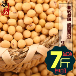非转基因黄豆豆浆专用手工筛选椭圆黄豆250g农家有机大黄豆