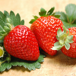 成都双流草莓新鲜水果 奶油草莓红颜 现摘现发顺丰700g