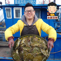 小宋海鲜 年货礼品野生鲜活水产海鲜飞蟹梭子蟹螃蟹海蟹