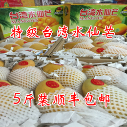 特级进口台湾水仙芒 新鲜水果 5斤装6-9只顺丰包邮