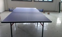 上海奥美特乒乓球桌 可折叠乒乓球桌 业余比赛乒乓球桌 乒乓球台