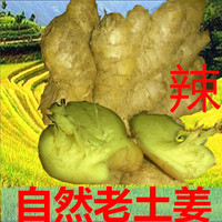 姜生姜长寿乡小黄姜可做月子姜3斤装老姜原始点调味料红糖姜茶