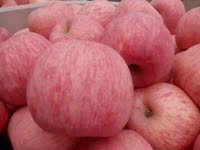 山东栖霞红富士苹果烟台特产有机水果带皮吃85大苹果5斤亏本包邮