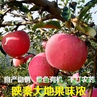 10斤85#装陕西特产日本红富士苹果新鲜水果马额绿色包邮
