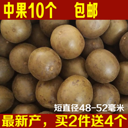 罗汉果10个广西桂林永福罗汉果花茶新鲜批发特产