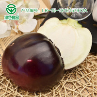 寿光新鲜绿色蔬菜 圆茄子 紫茄子产地直发 500g