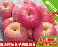 烟台红富士苹果山东栖霞特产有机水果霜降后老苹果带皮吃10斤包邮
