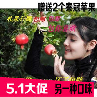 陕西安咸阳礼泉特产正宗新鲜酸甜石榴吃的水果 预售10斤全国包邮