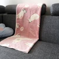 日系粉色猫咪个性创意法莱绒小毛毯办公室膝盖毯