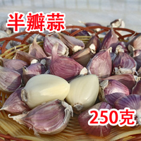 四川雅安特产紫皮大蒜半瓣蒜 批发有机独头大蒜入药250g