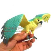 仿真动物鸟类猛禽玩具老鹰 鹦鹉 猫头鹰动物玩具模型展翅长30厘米