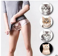 2条包邮个性小猫女士中腰内裤 防走光一片式无痕性感猫咪三角内裤